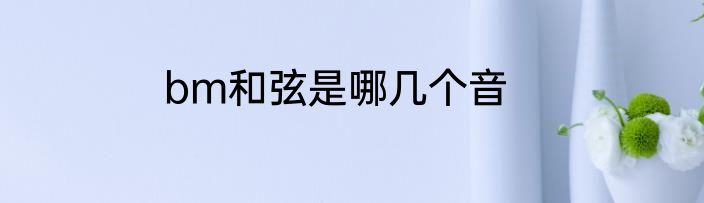 bm和弦是哪几个音