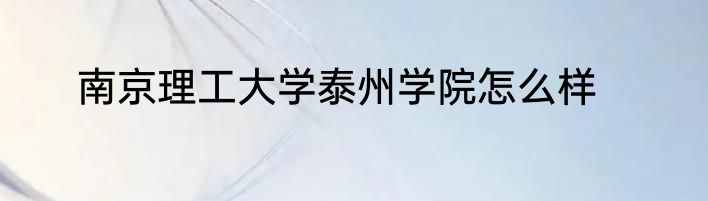 南京理工大学泰州学院怎么样