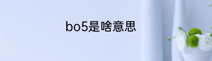 bo5是啥意思