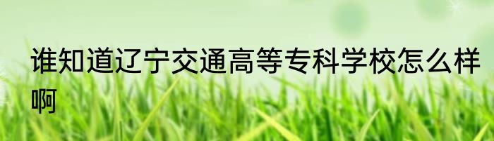 谁知道辽宁交通高等专科学校怎么样啊
