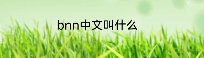 bnn中文叫什么