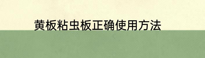 黄板粘虫板正确使用方法