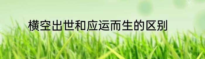 横空出世和应运而生的区别