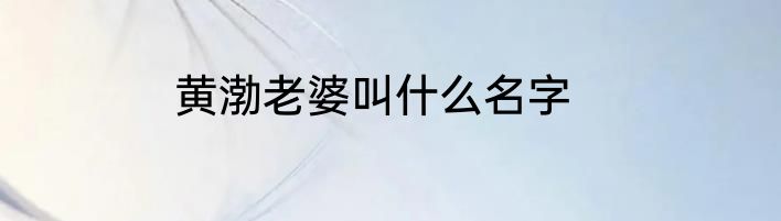 黄渤老婆叫什么名字