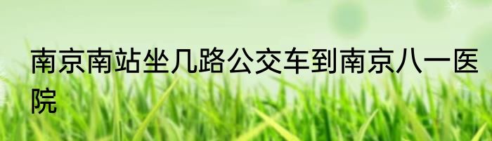 南京南站坐几路公交车到南京八一医院