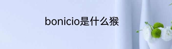 bonicio是什么猴