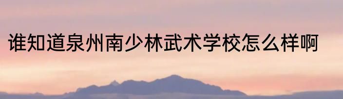 谁知道泉州南少林武术学校怎么样啊