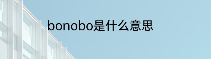 bonobo是什么意思