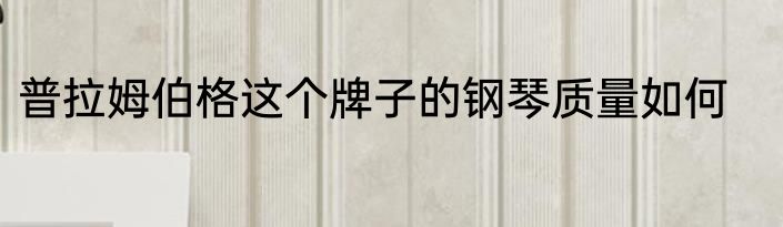 普拉姆伯格这个牌子的钢琴质量如何