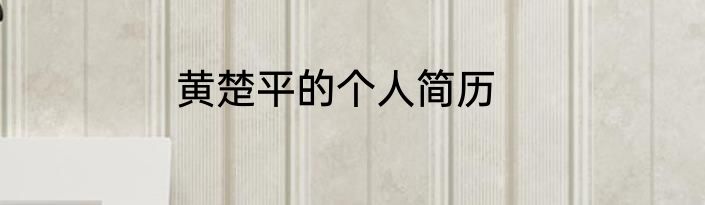 黄楚平的个人简历