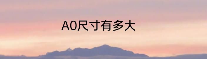 A0尺寸有多大