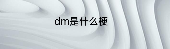 dm是什么梗