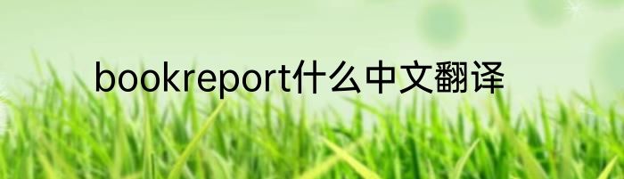 bookreport什么中文翻译
