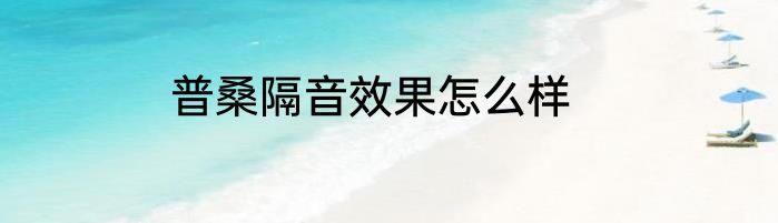 普桑隔音效果怎么样