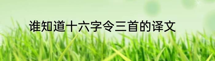 谁知道十六字令三首的译文