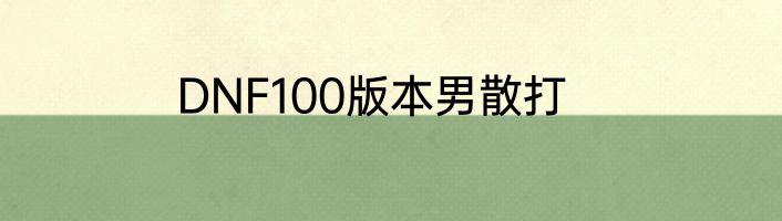DNF100版本男散打