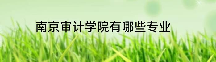 南京审计学院有哪些专业