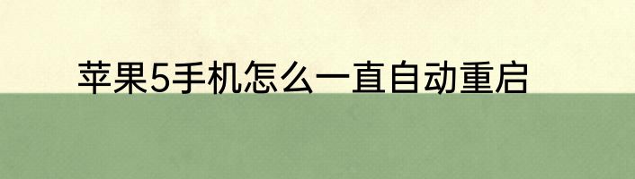 苹果5手机怎么一直自动重启