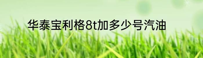 华泰宝利格8t加多少号汽油