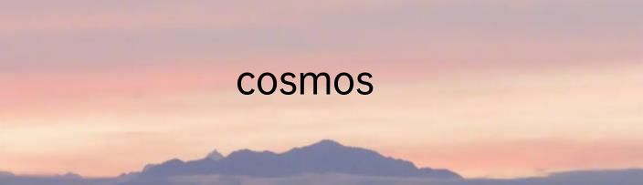 cosmos