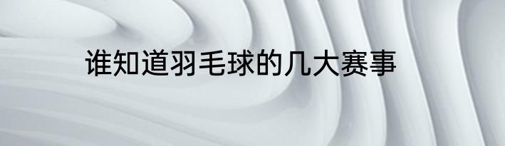 谁知道羽毛球的几大赛事