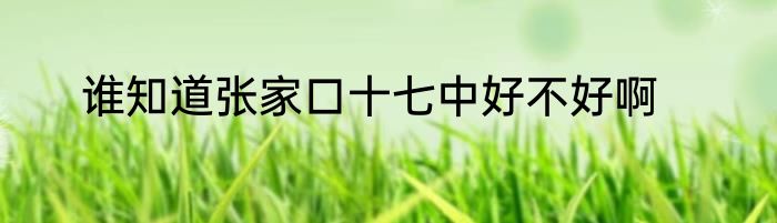 谁知道张家口十七中好不好啊