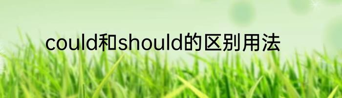 could和should的区别用法