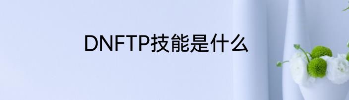 DNFTP技能是什么