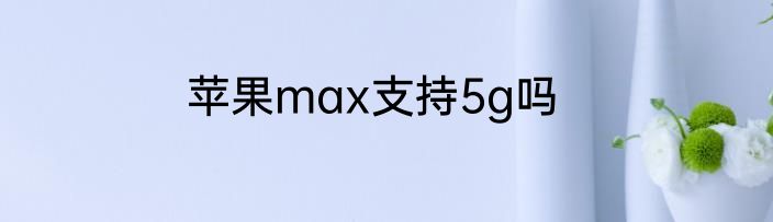 苹果max支持5g吗