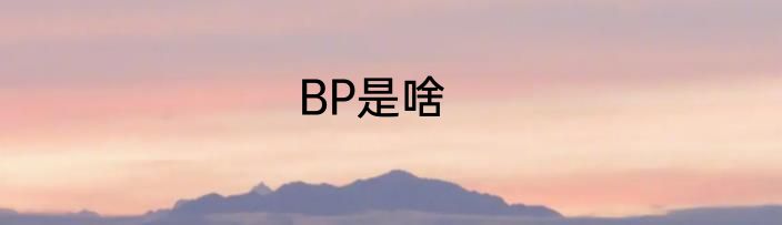 BP是啥