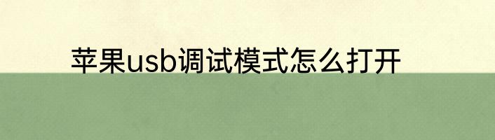 苹果usb调试模式怎么打开
