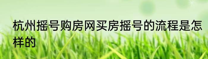 杭州摇号购房网买房摇号的流程是怎样的
