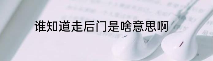 谁知道走后门是啥意思啊