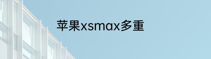 苹果xsmax多重