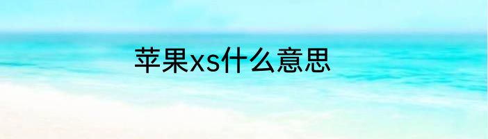 苹果xs什么意思
