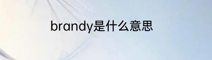brandy是什么意思
