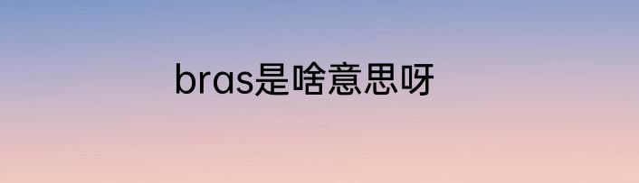 bras是啥意思呀
