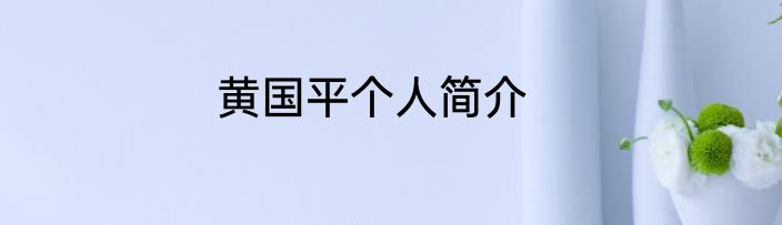 黄国平个人简介