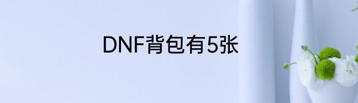 DNF背包有5张