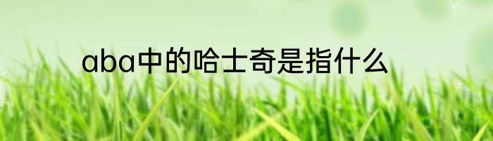 aba中的哈士奇是指什么