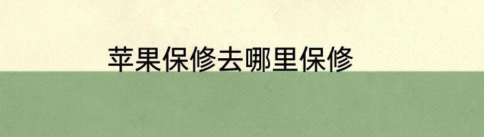 苹果保修去哪里保修