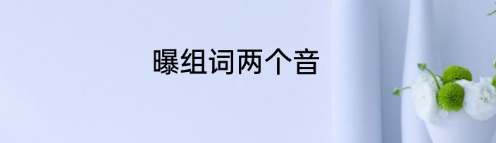 曝组词两个音
