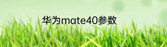 华为mate40参数