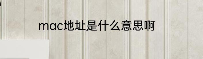 mac地址是什么意思啊