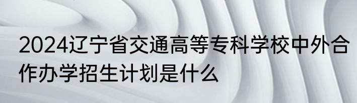 2024辽宁省交通高等专科学校中外合作办学招生计划是什么