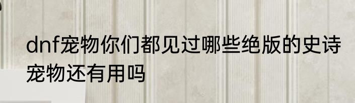 dnf宠物你们都见过哪些绝版的史诗宠物还有用吗