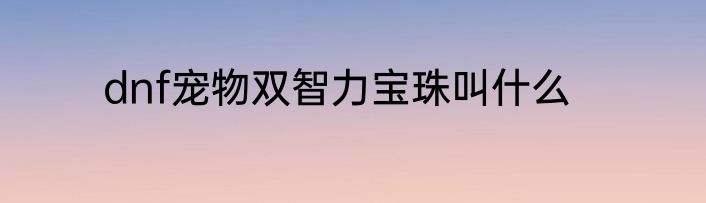 dnf宠物双智力宝珠叫什么