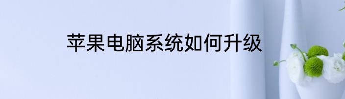 苹果电脑系统如何升级
