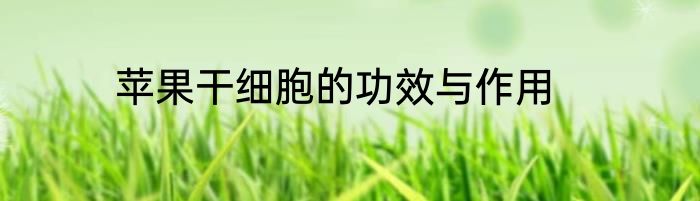 苹果干细胞的功效与作用