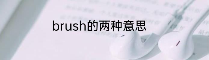 brush的两种意思